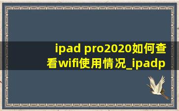 ipad pro2020如何查看wifi使用情况_ipadpro 20204g版能连wifi吗